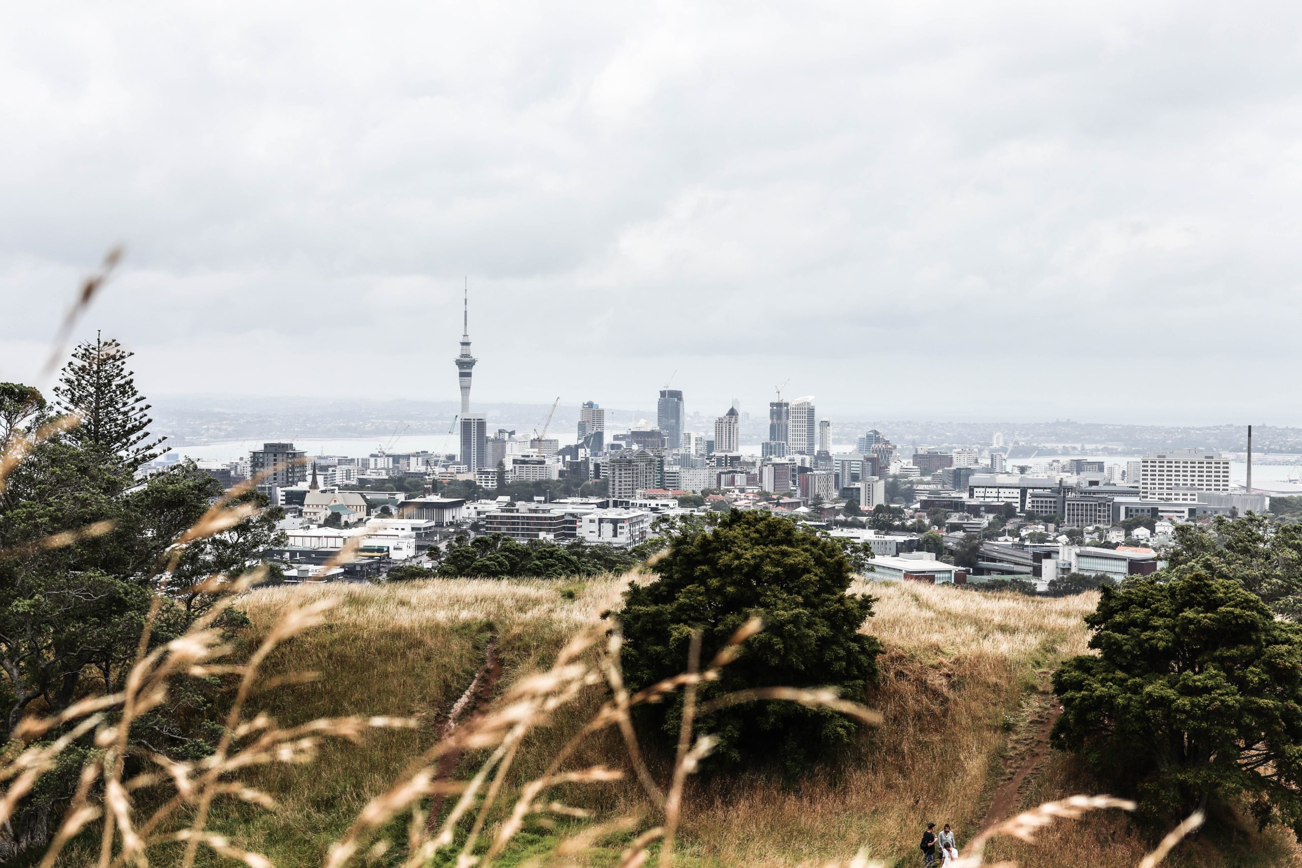 What To Do in Auckland – Must-See Attractions